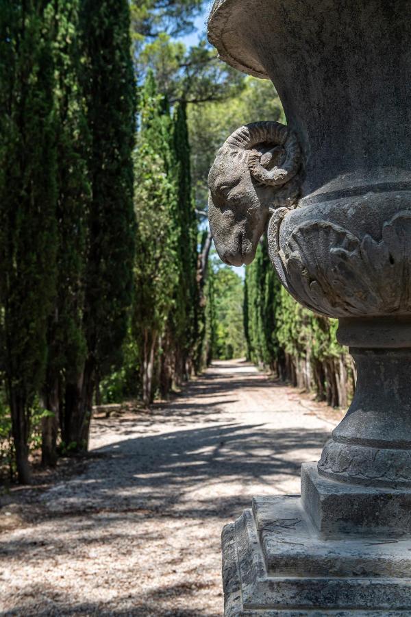 Chateau Martinay Ξενοδοχείο Carpentras Εξωτερικό φωτογραφία