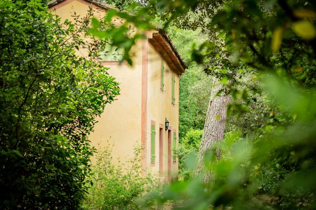 Chateau Martinay Ξενοδοχείο Carpentras Εξωτερικό φωτογραφία